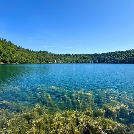 Hébergement de vacances In Champs-sur-tarentaine Near Artense